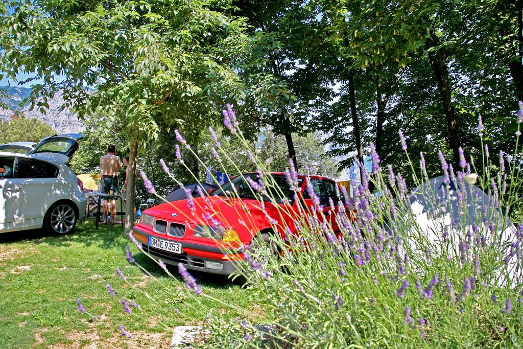 Camping Alpino - Nature Village Malcesine Eksteriør bilde